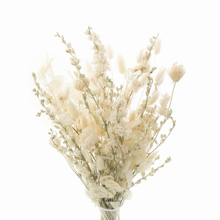 Zestaw suszonych kwiatów do wazonu Cream
