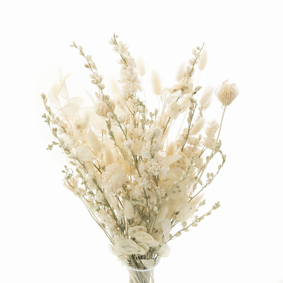 Zestaw suszonych kwiatów do wazonu Cream