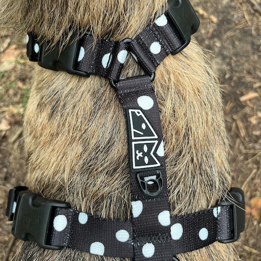 Szelki guard Stay on "Psygarnij kropka" - Szerokość taśmy: 38mm, Rozmiar: XL