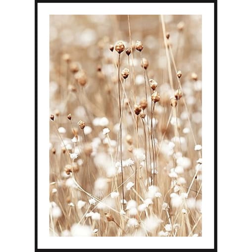 Poster Story, Plakat, Obraz - Naturalna Polna Trawa, wymiary 60 x 84 cm