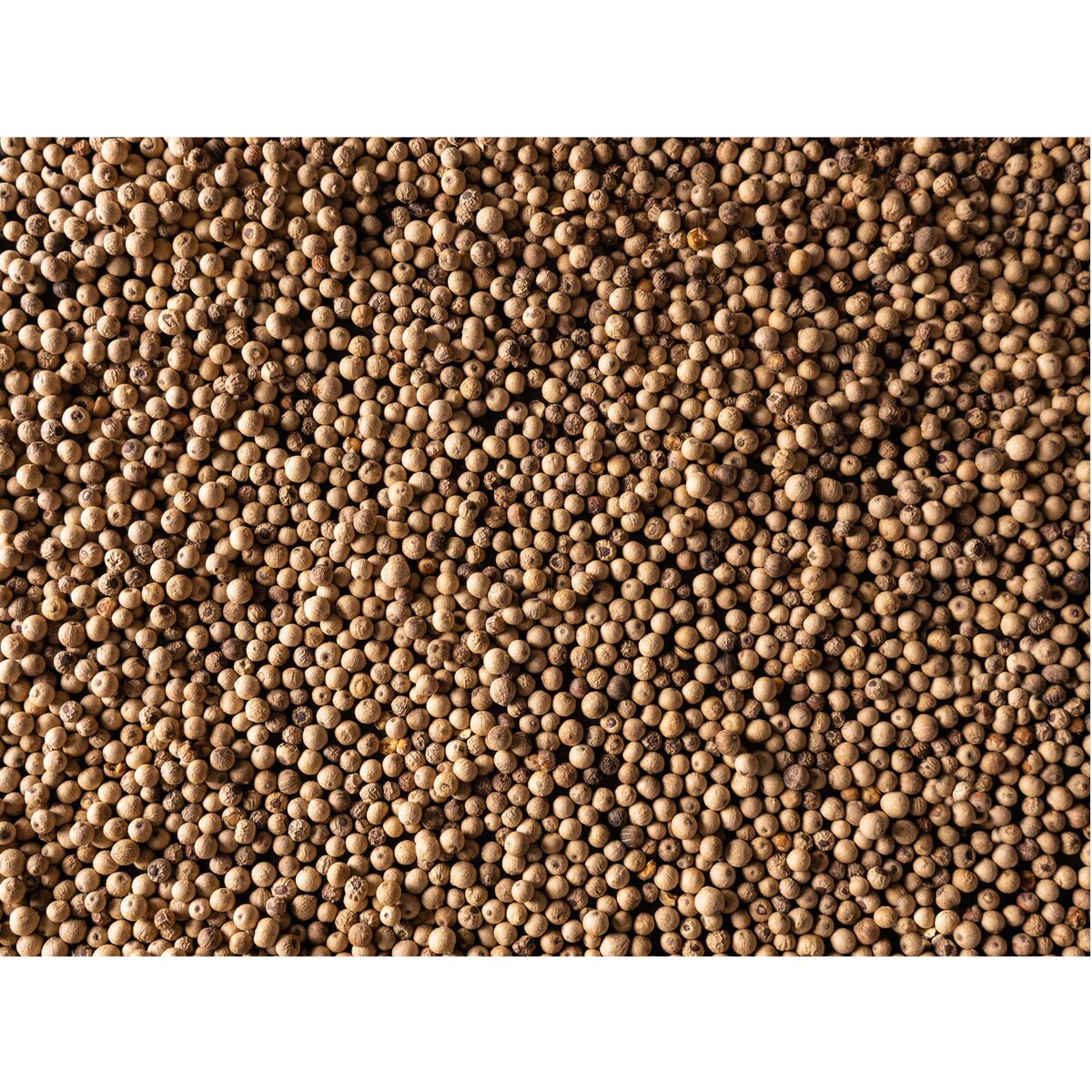 SARAWAK Pieprz biały Malezja 80 g / PEUGEOT