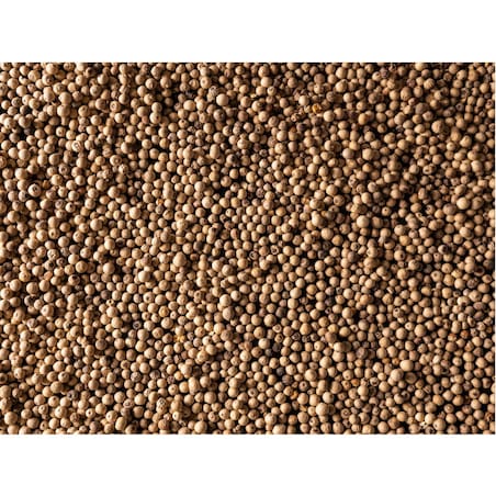 SARAWAK Pieprz biały Malezja 80 g / PEUGEOT