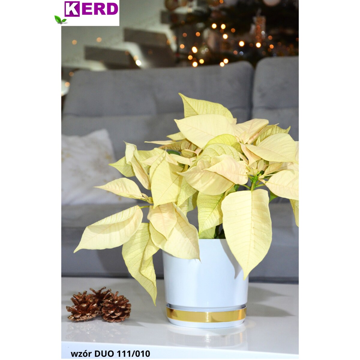 16 Doniczka DUO BIAŁA z podstawką ZŁOTO B. dwukolorowa nowoczesna z połyskiem drenażem elegancka