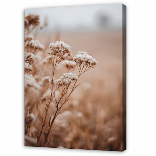 Obraz Do Sypialni Salonu Na Płótnie Kwiaty Natura Beżowy 70x100