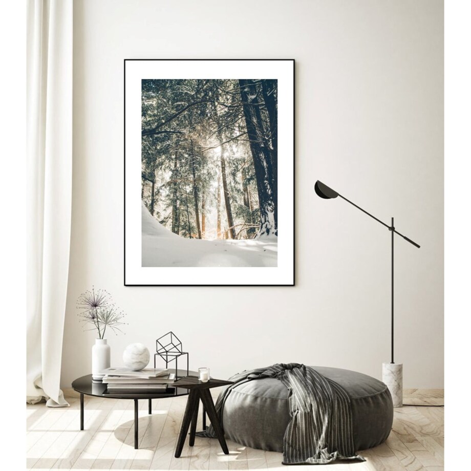 Poster Story, Plakat, Obraz - Zimowy Las z Lotu Ptaka, wymiary 30 x 42 cm