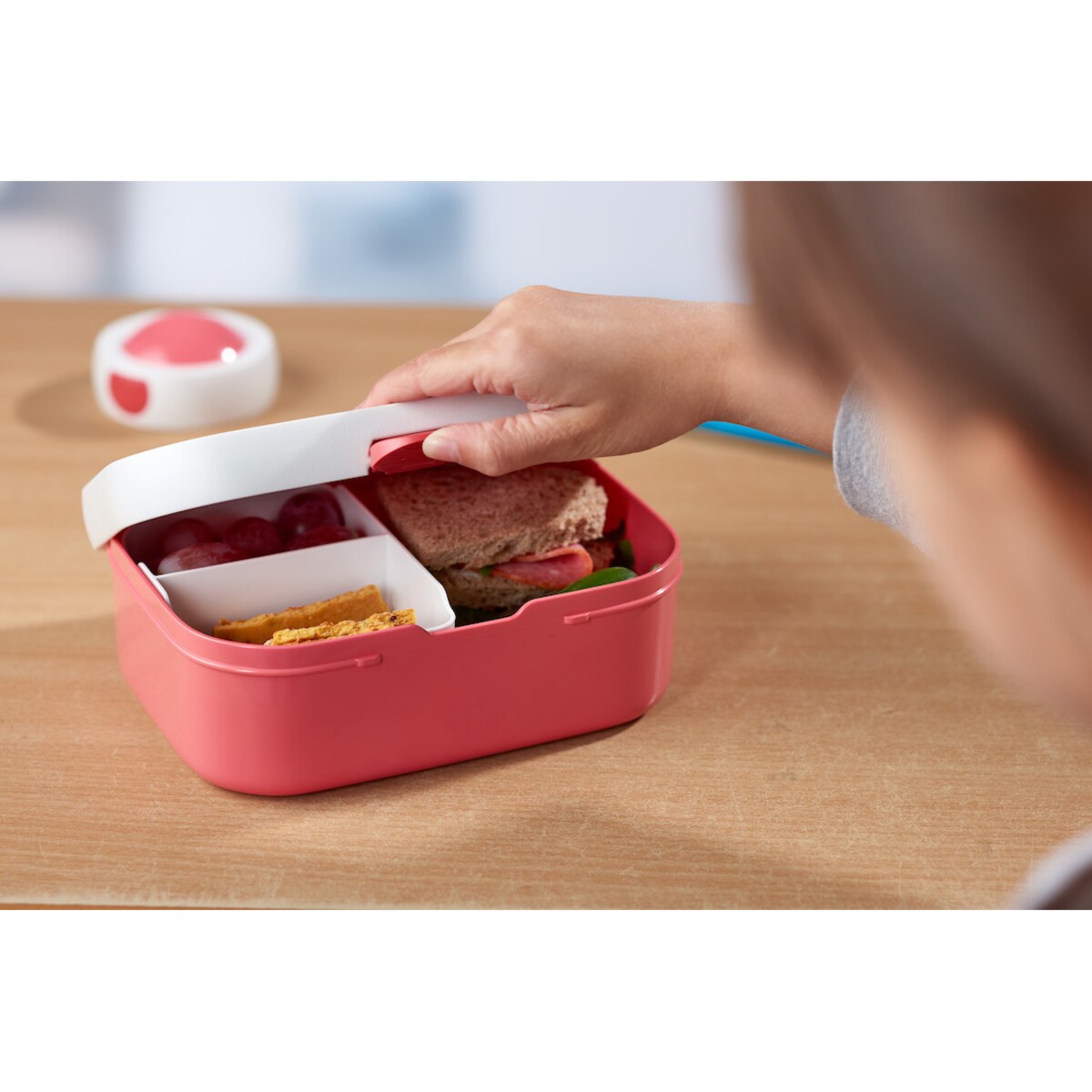 Lunchbox Campus Animal Friends 107440065373
