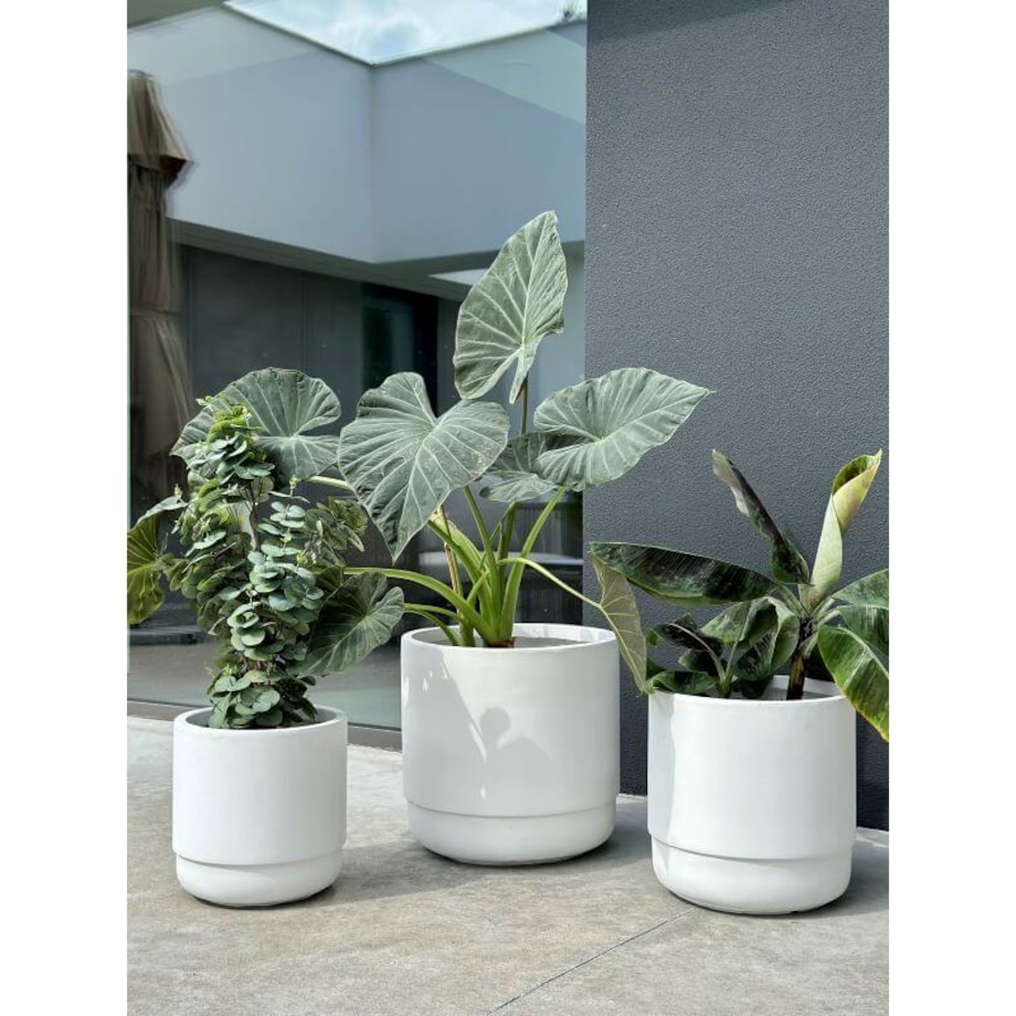 DONICZKA SANTIAGO WHITE L