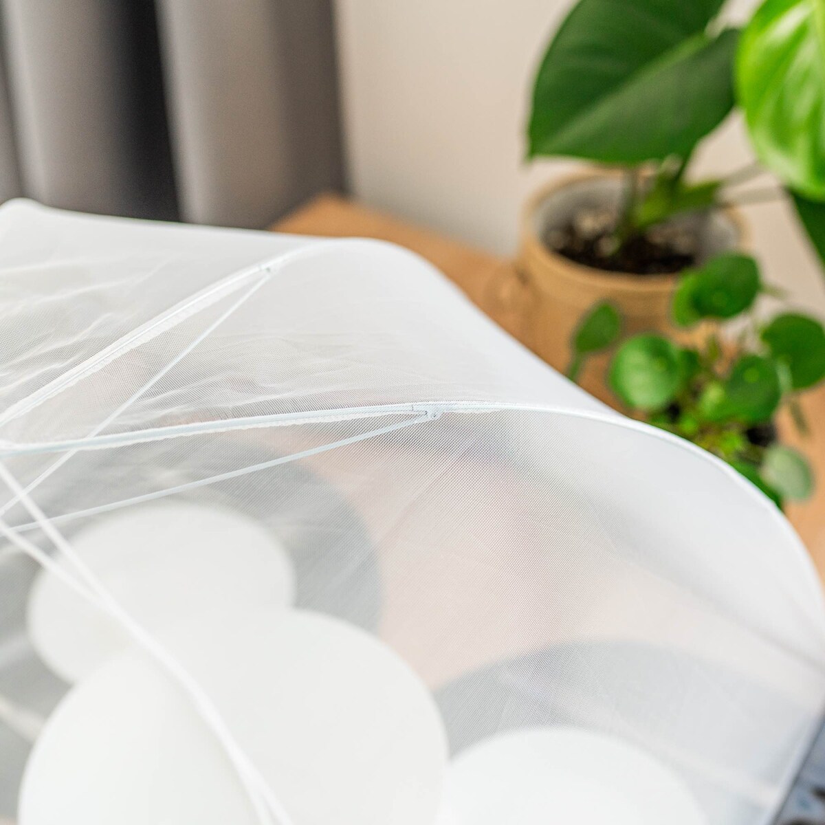 Moskitiera Na Owoce Jedzenie Siatka Na Stół 116X65