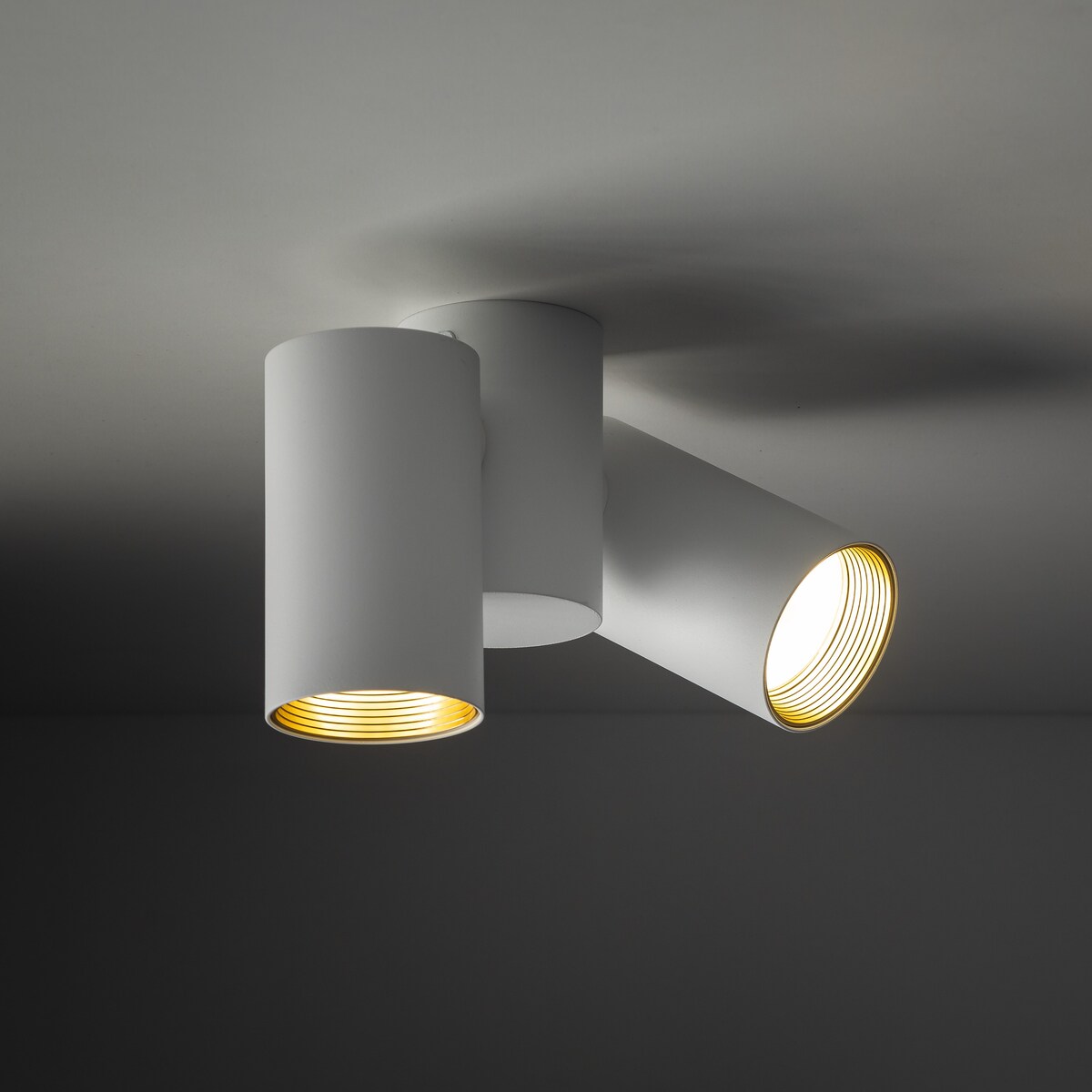 Lampa sufitowa spot TK Lighting AMIS White 2xGU10 biała ze złotym akcentem ruchome reflektory downlight 10975
