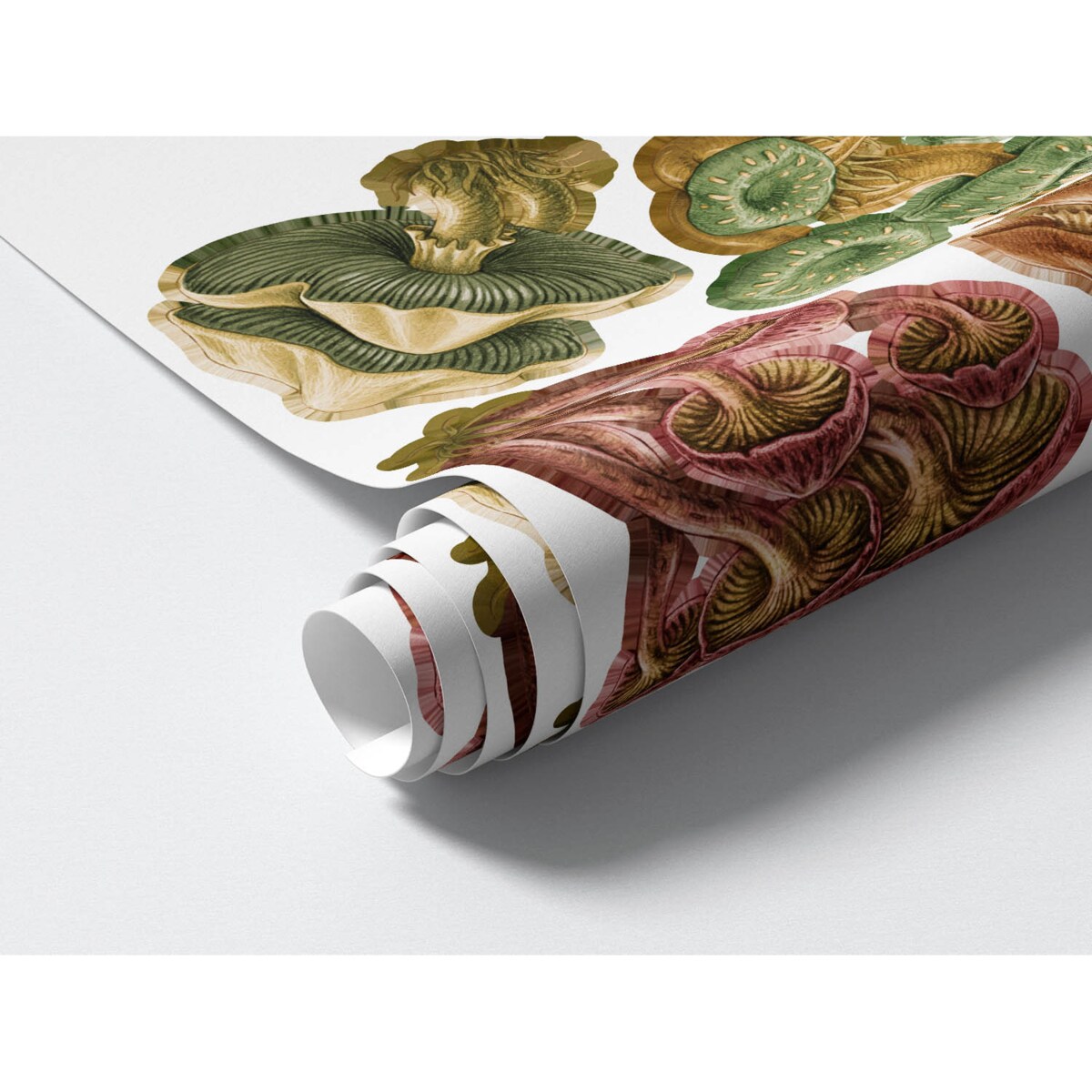 Zestaw naklejek na ścianę, Grzybowa łąka, 80cm