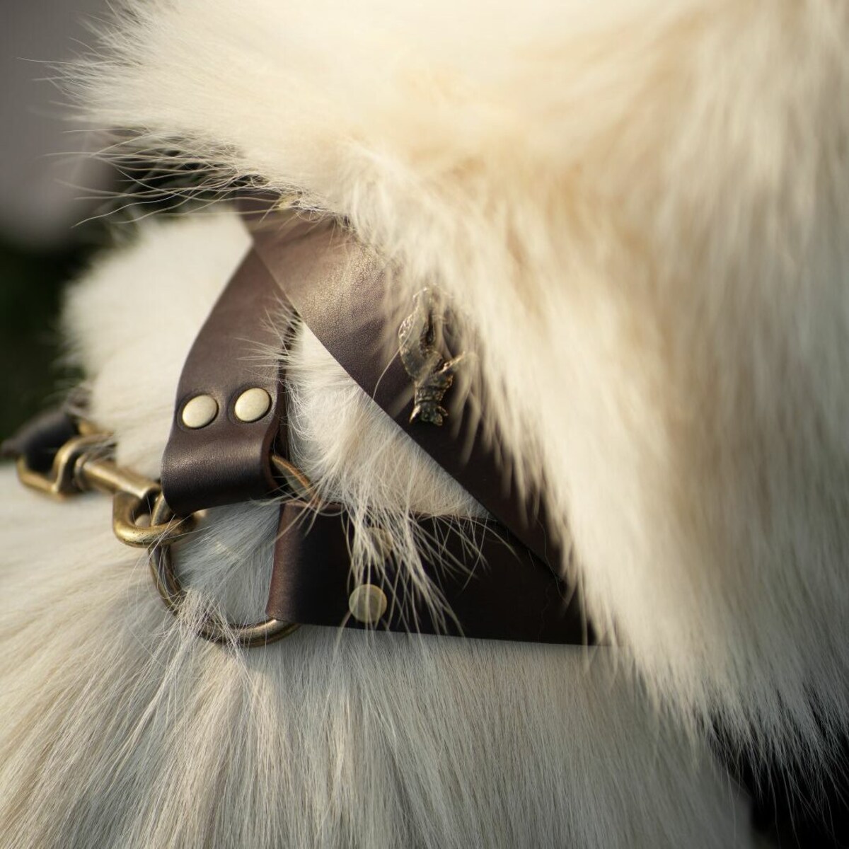 SZELKI NORWESKIE, SZELKI SKÓRZANE DLA PSA - ROZMIAR M