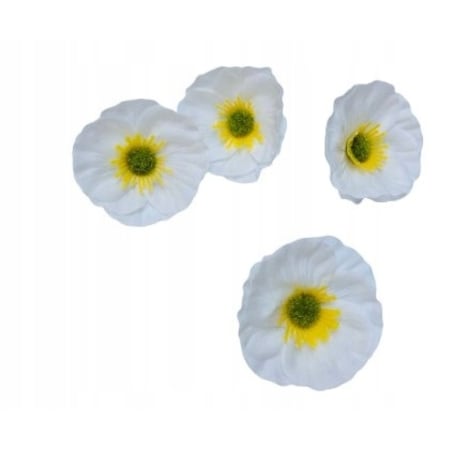 KWIATY MYDLANE biały okrągły główka do stroika bukietu box prezent upominek