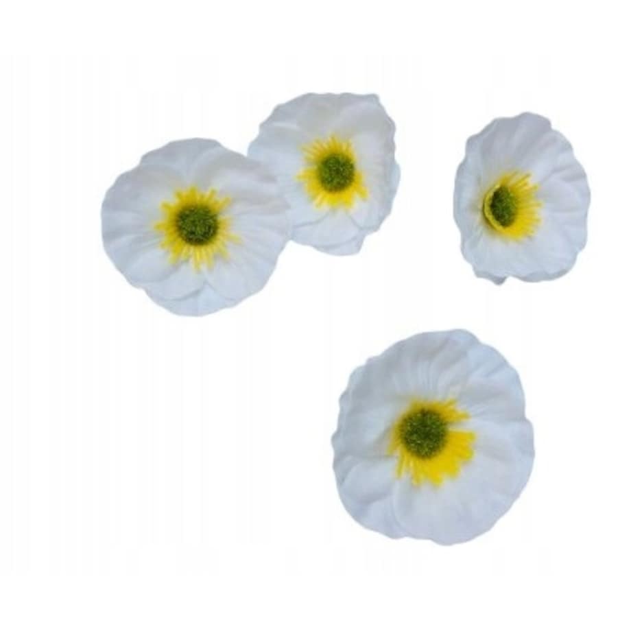 KWIATY MYDLANE biały okrągły główka do stroika bukietu box prezent upominek