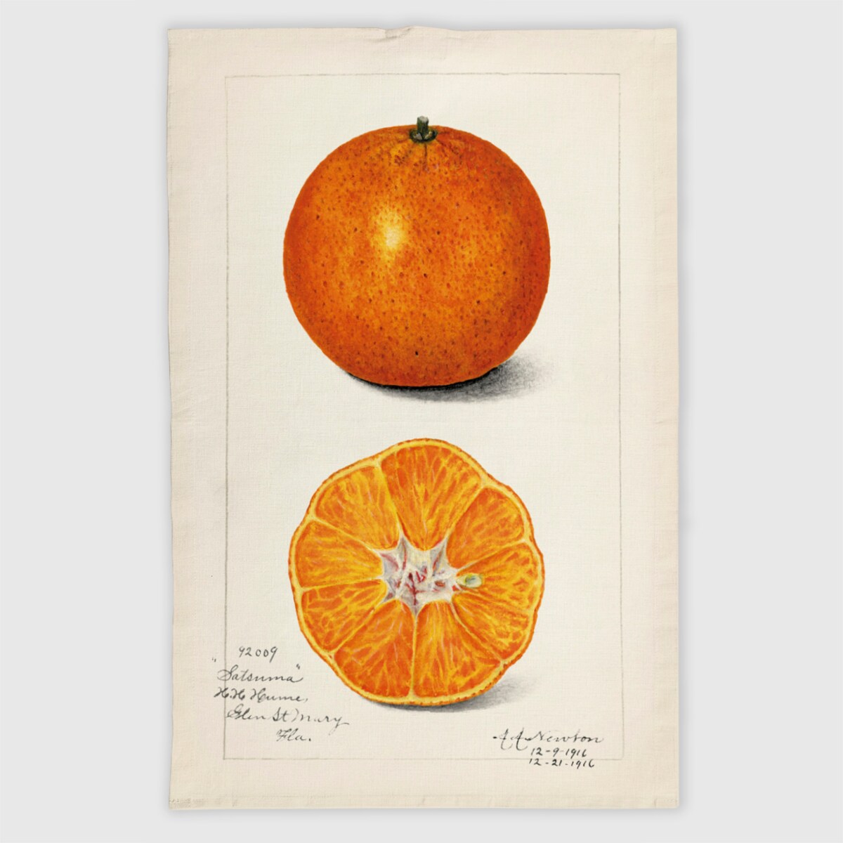 Lniana ścierka kuchenna - Pomarańcze