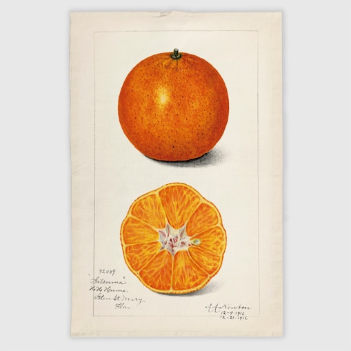 Lniana ścierka kuchenna - Pomarańcze