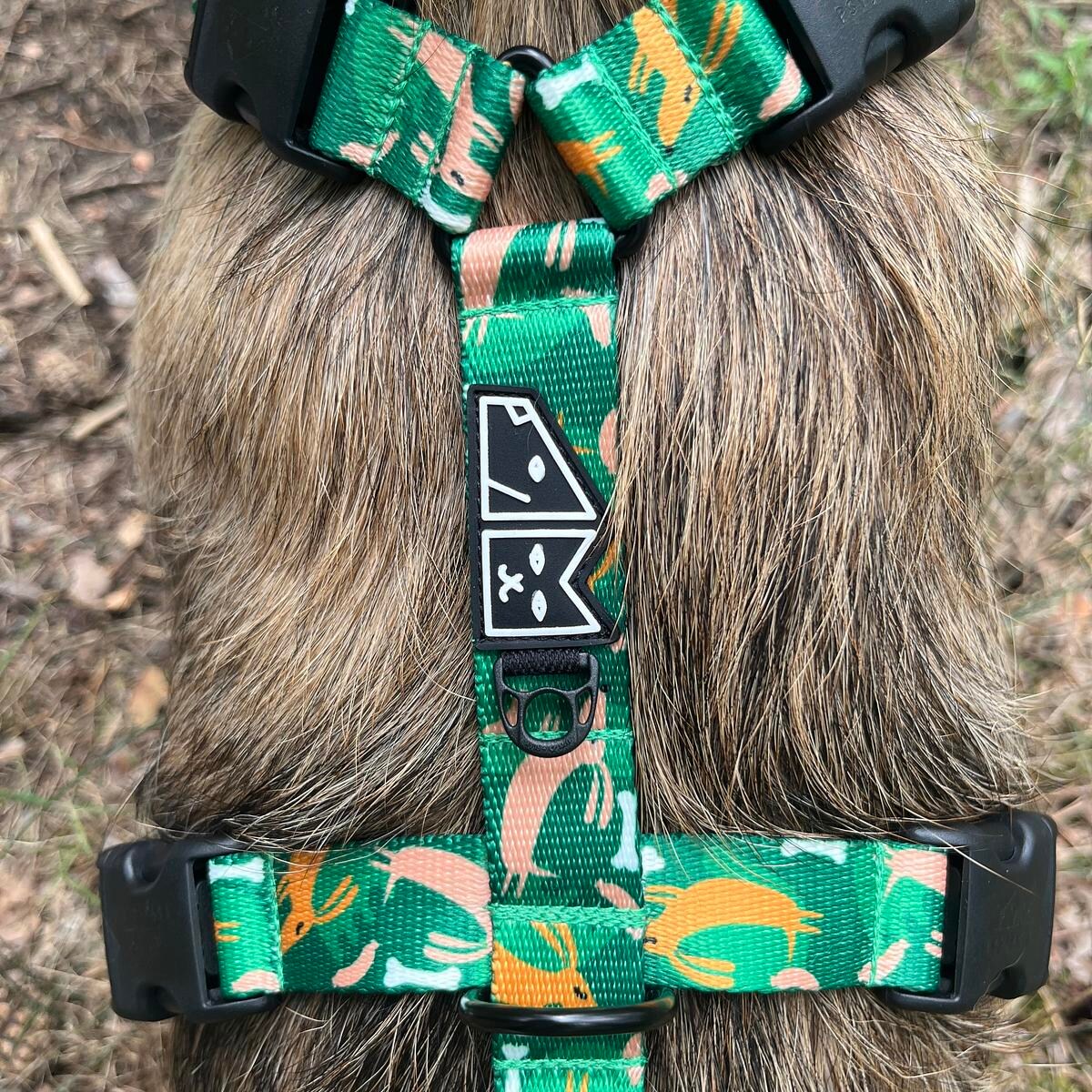 Szelki guard Stay on "Psy na jawie" - Szerokość taśmy: 25mm, Rozmiar: L