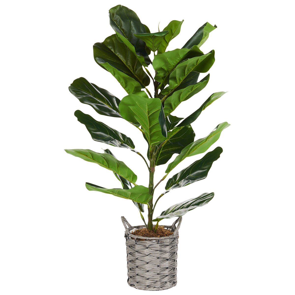 Sztuczna roślina FIDDLE LEAF TREE 72 cm Zielony