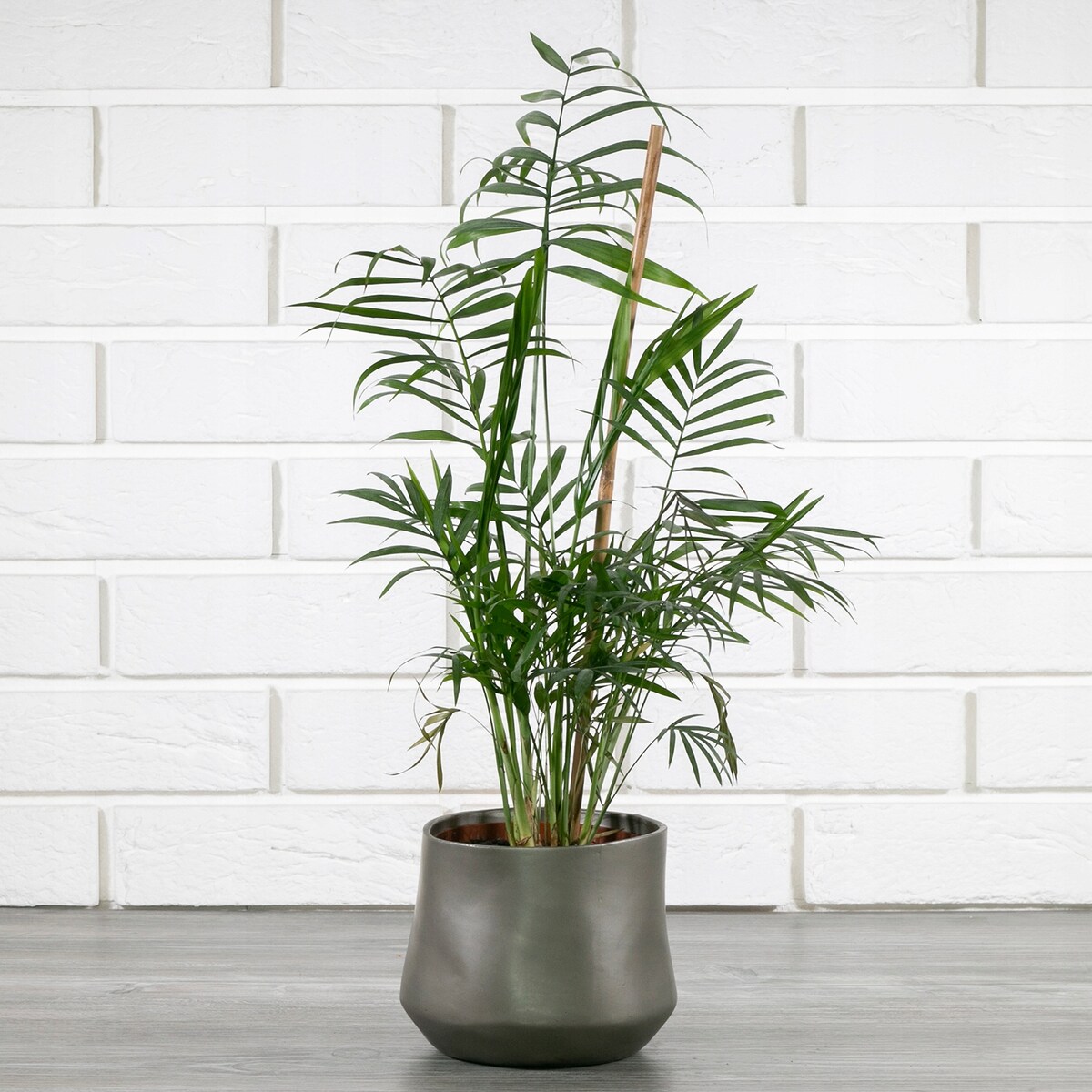 Srebrna osłonka na doniczkę CERAMICZNA śr. 13cm
