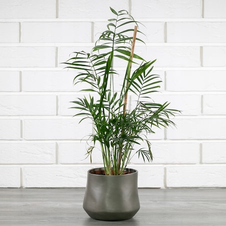 Srebrna osłonka na doniczkę CERAMICZNA śr. 13cm