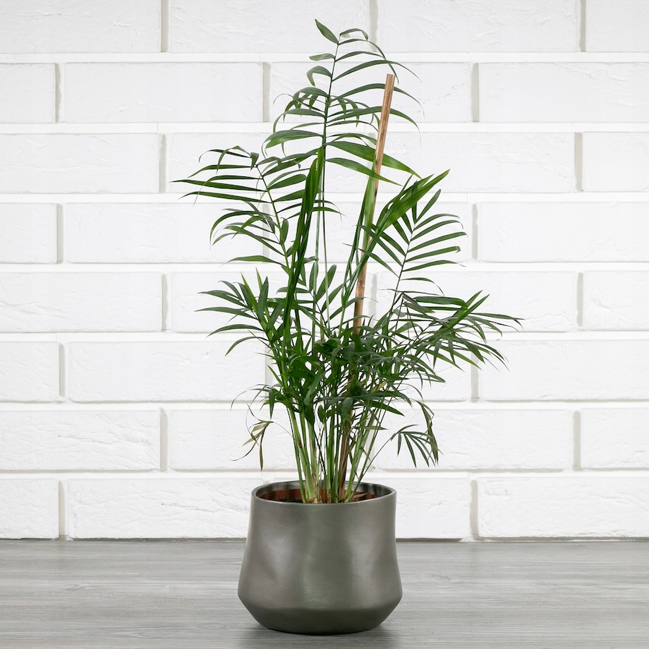 Srebrna osłonka na doniczkę CERAMICZNA śr. 13cm