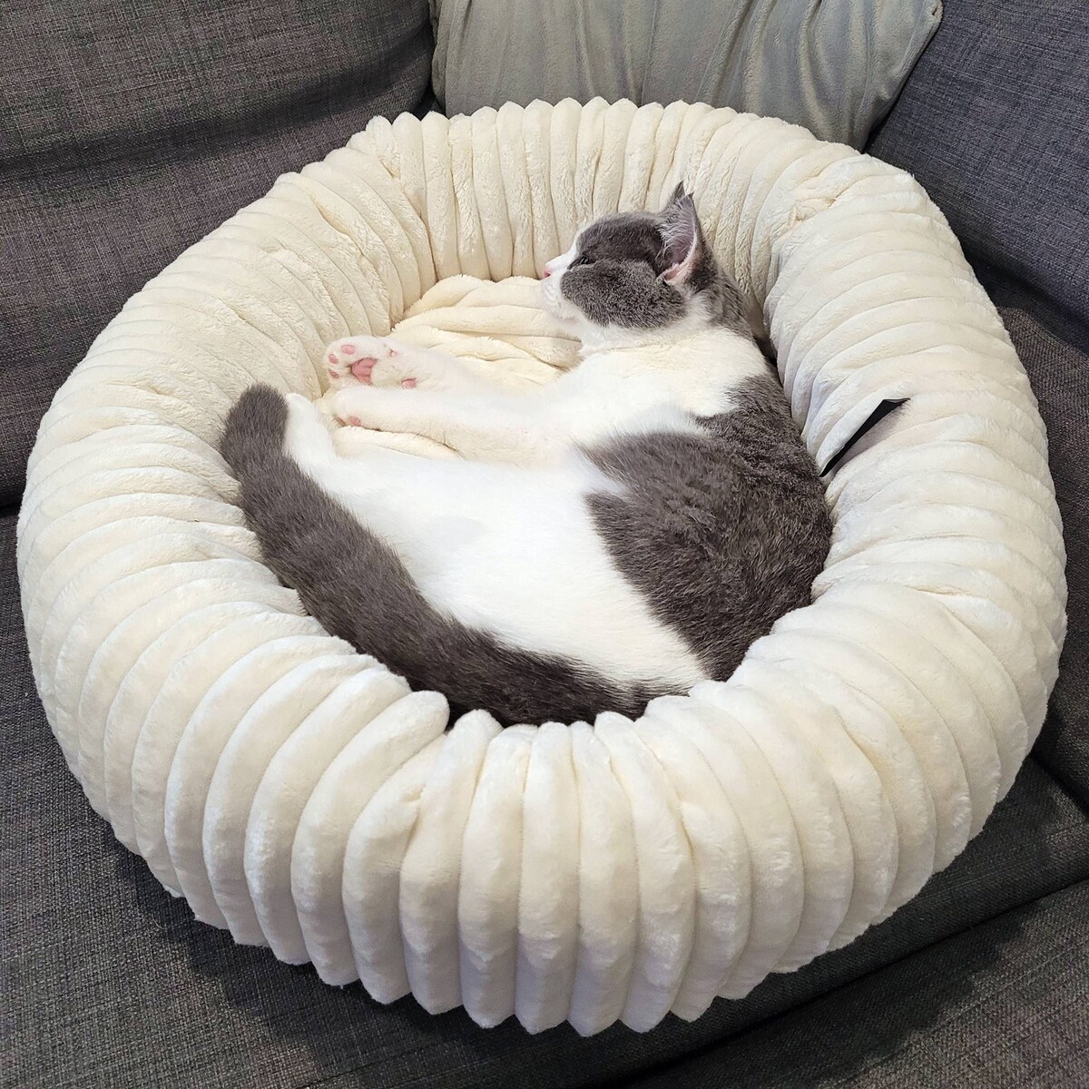 Urocze legowisko dla psa lub kota LUNA, 75x65 cm, Ecru