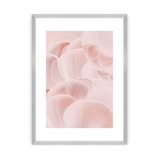 Plakat Pastel Pink I, 50 x 70 cm, Ramka: Srebrna