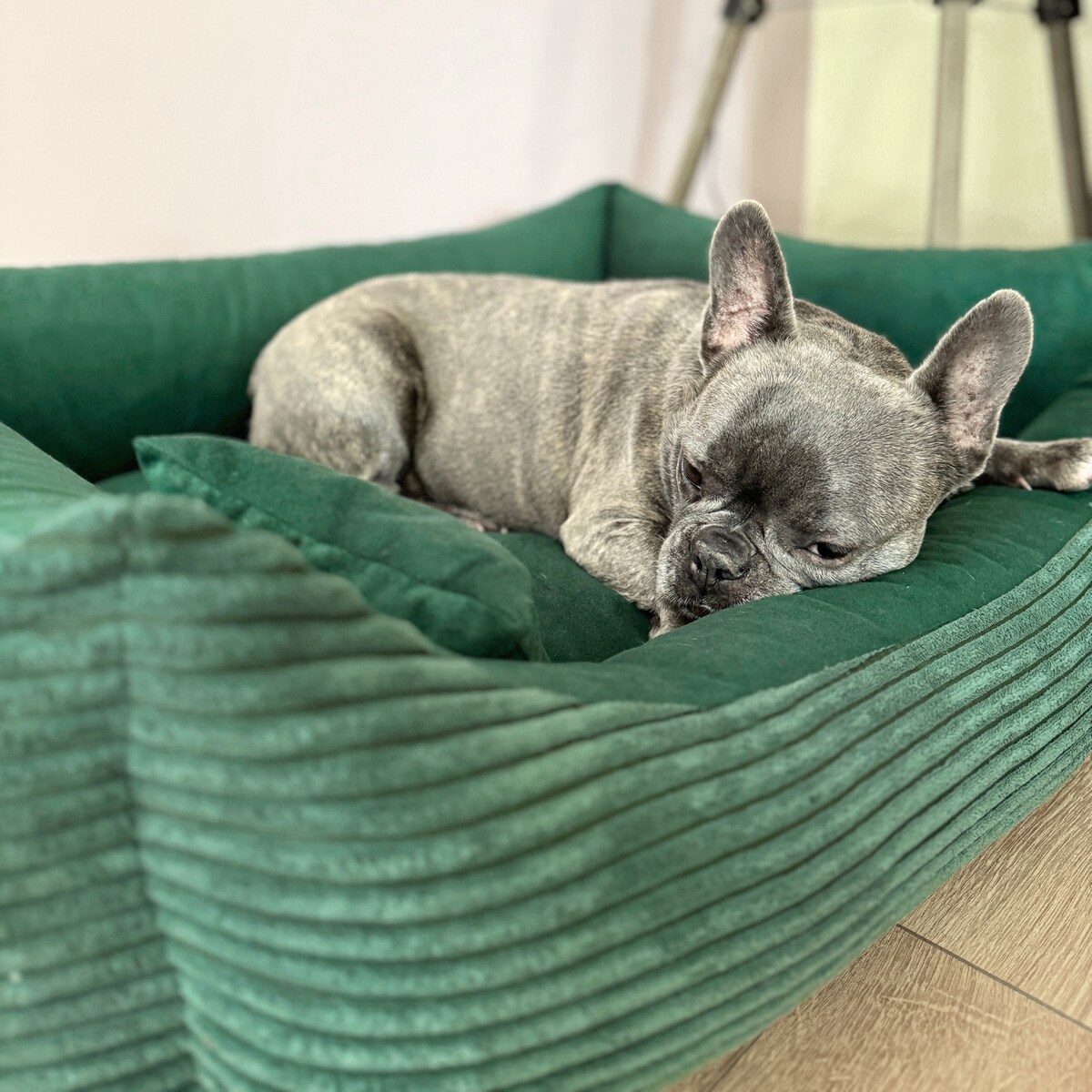 Sztruksowe legowisko dla psa MOLLY, 100x80 cm, Zieleń