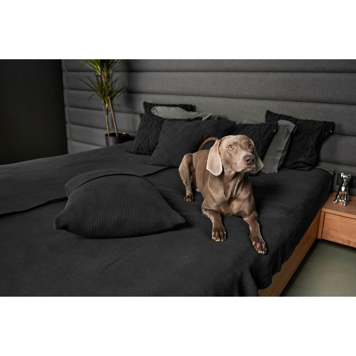 Narzuta klasyczna grafitowa, 220 x 240 cm, La Manta