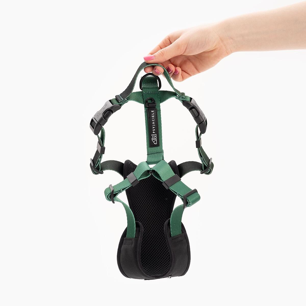 Szelki bezuciskowe dla psa lub kota "Under my ombrella" ZIELEŃ - Szerokość taśmy: 25mm, Rozmiar: XL