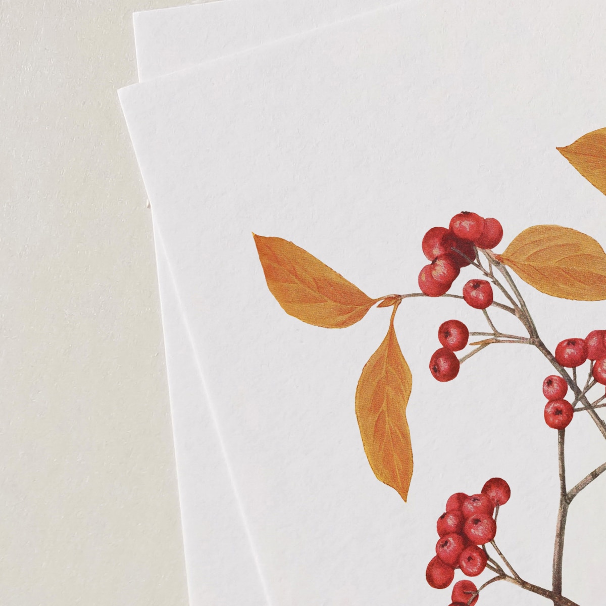 Plakat aronia czerwona 30x40cm