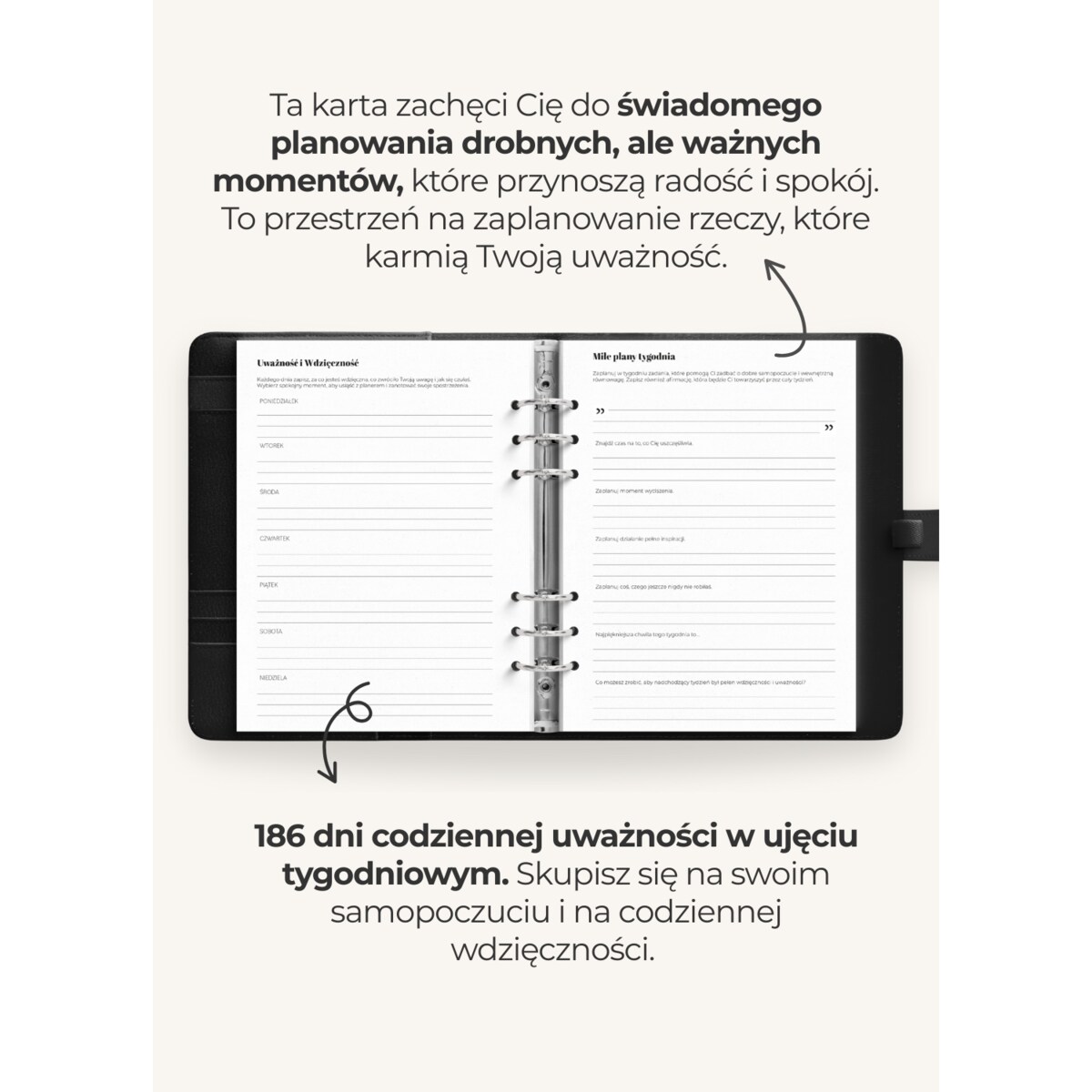 Wkład – Planner Dzienny