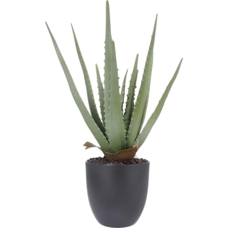Roślina Sztuczna Aloes W Doniczce 45 Cm Wysokości Zielona Jak Żywa Ozdoba
