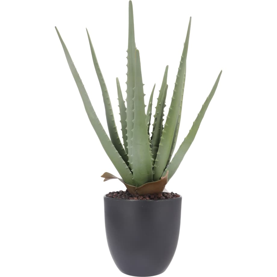 Roślina Sztuczna Aloes W Doniczce 45 Cm Wysokości Zielona Jak Żywa Ozdoba