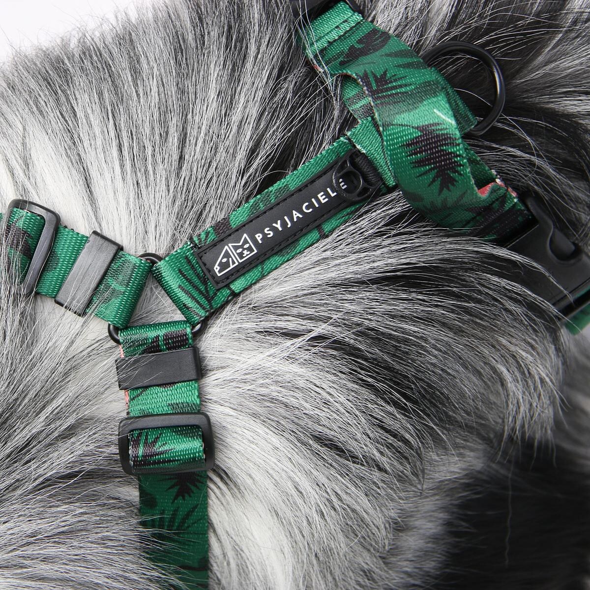 Szelki bezuciskowe dla psa lub kota "Welcome to the jungle" - Szerokość taśmy: 20mm, Rozmiar: S