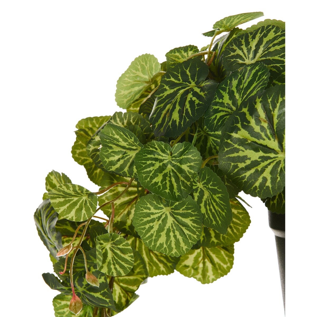 Sztuczna roślina KUNGA Zielony