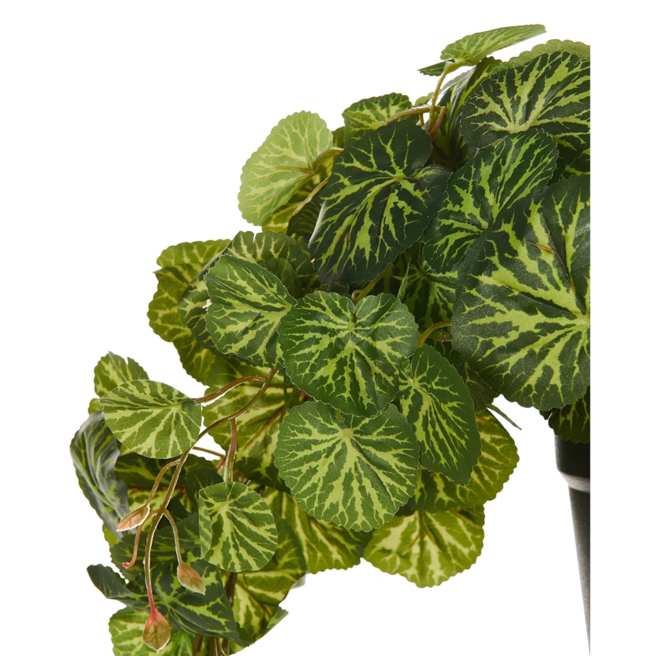 Sztuczna roślina KUNGA Zielony