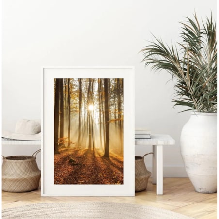 Poster Story, Plakat, Obraz - Las Jesienny, wymiary 70 x 100 cm