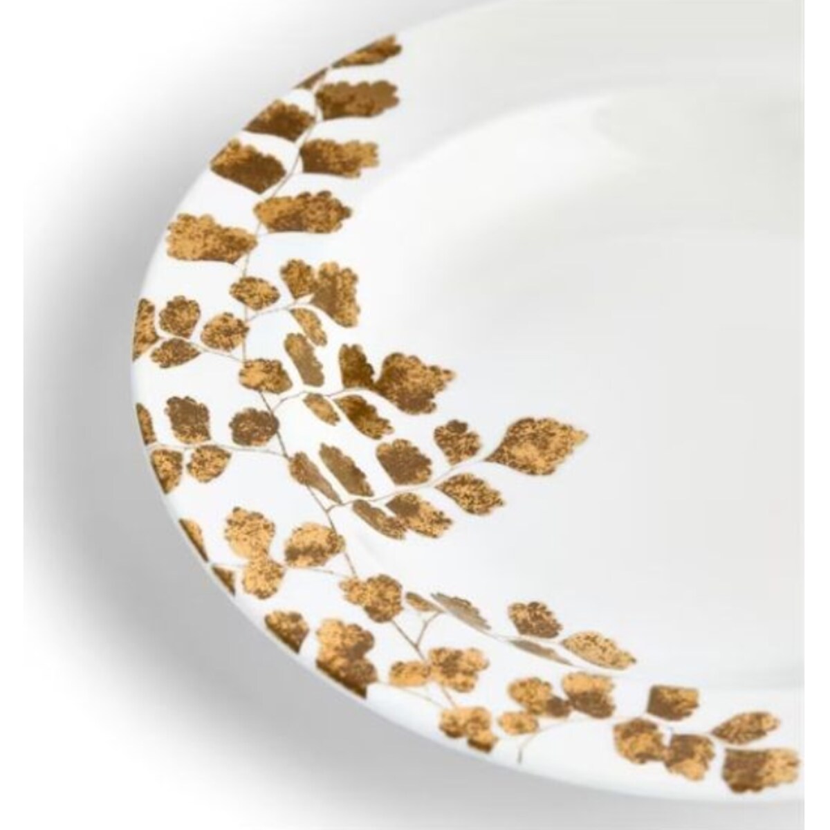 Talerz obiadowy, głęboki 22 cm Vera Jardin Wedgwood