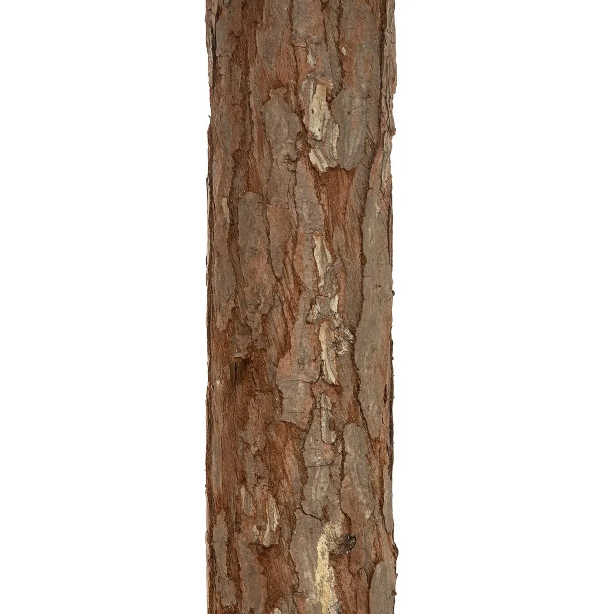 Choinka drzewko świąteczne ze śniegiem Nordstar 180 cm