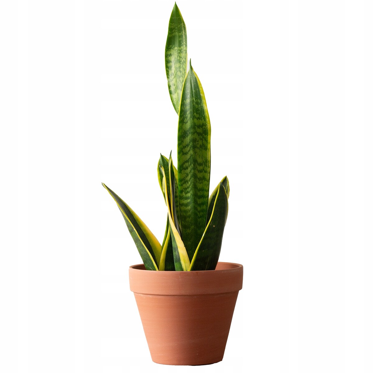 DONICZKA OGRODOWA odpływ terakota naturalna okrągła mrozoodporna 19cm
