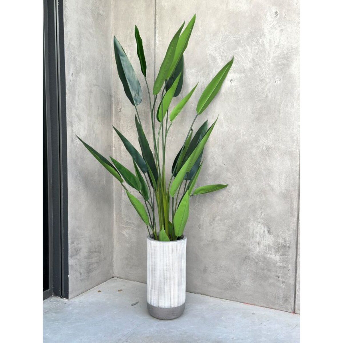 KWIAT DUŻA STRELICJA KRÓLEWSKA 150 cm