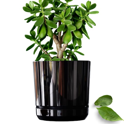 16 cm wzór CZARNY BŁYSZCZĄCY Doniczka z podstawką nowoczesna glamour efekt lustra black wysoki połysk metaliczna elegancka