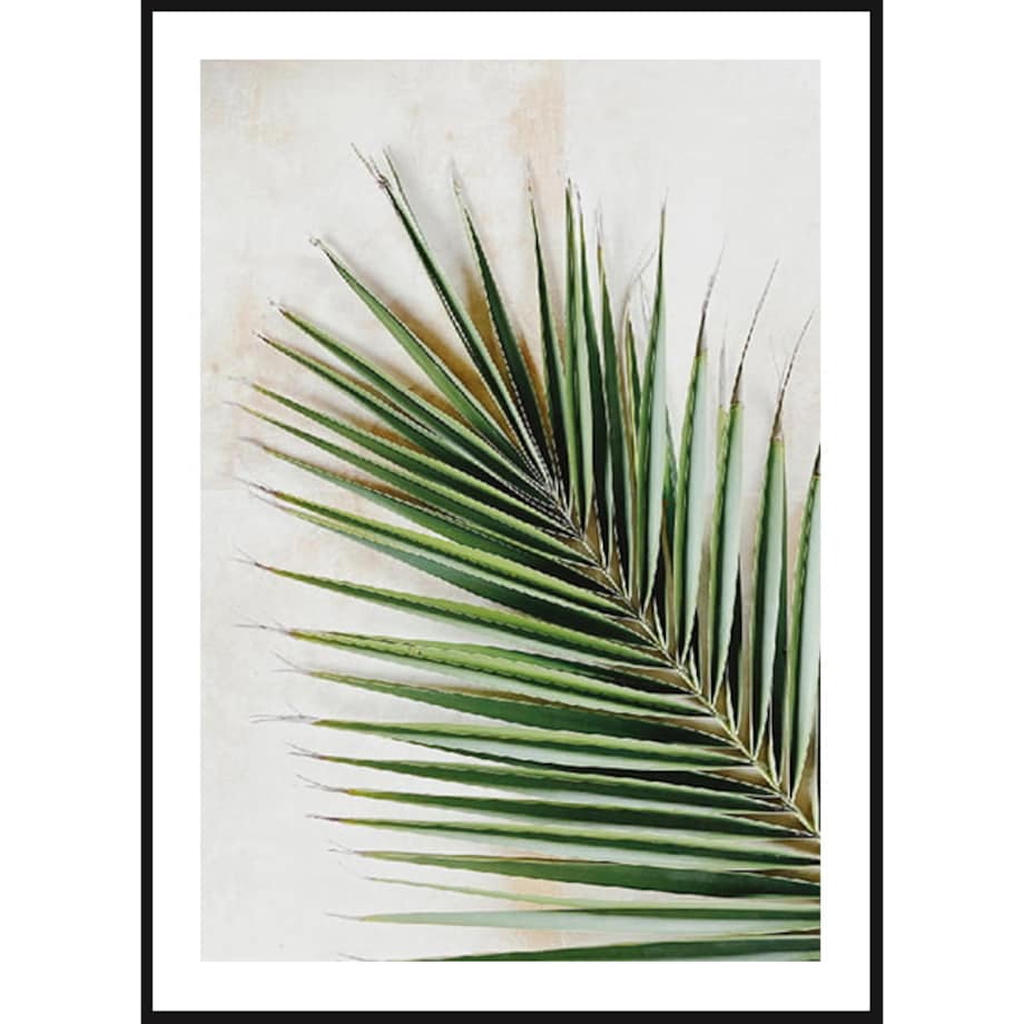 Poster Story, Plakat, Obraz - Zielona Gałązka Iglasta, wymiary 60 x 84 cm