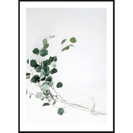 Poster Story, Plakat, Obraz - Gałązki Eukaliptusa No1, wymiary 21 x 30 cm