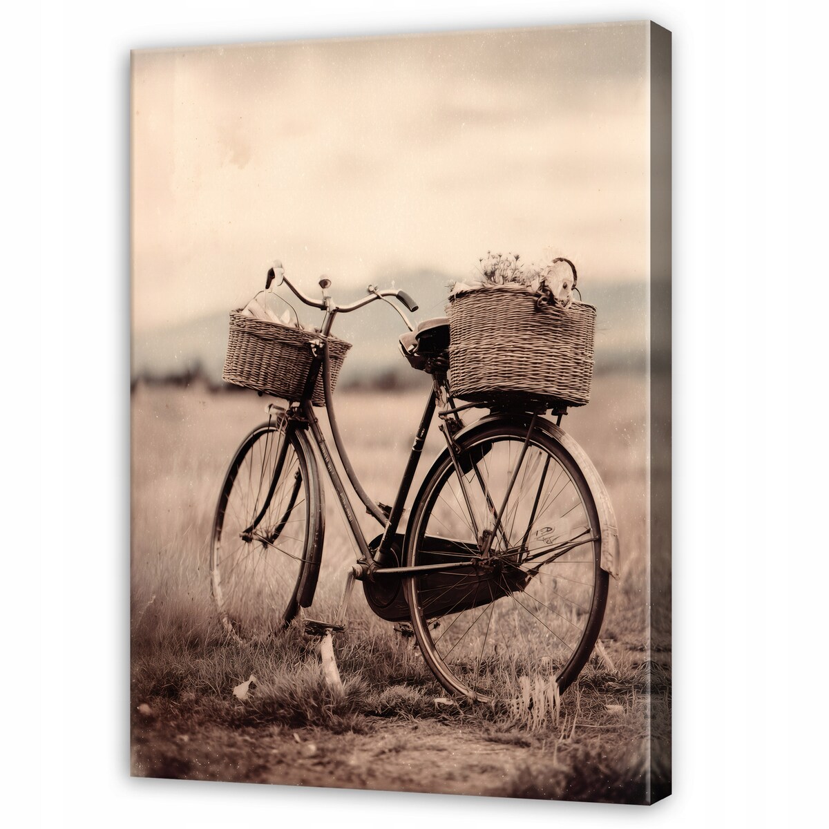 Obraz Do Sypialni Salonu Na Płótnie Rower Vintage Beżowy 80x120