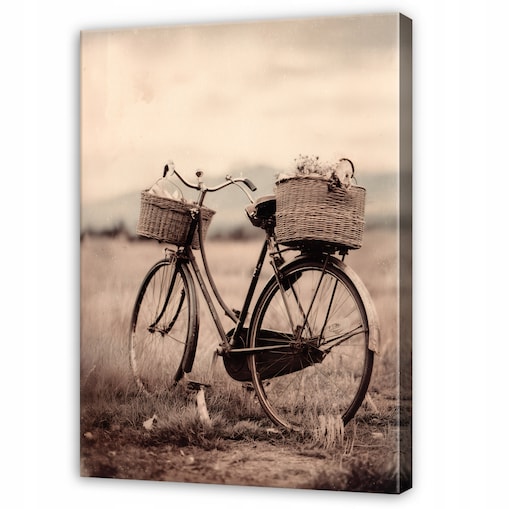 Obraz Do Sypialni Salonu Na Płótnie Rower Vintage Beżowy 80x120