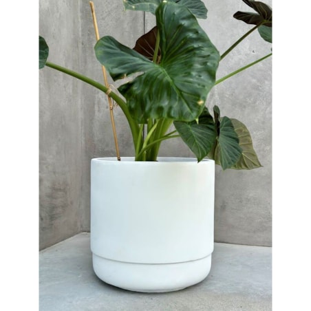 DONICZKA SANTIAGO WHITE M