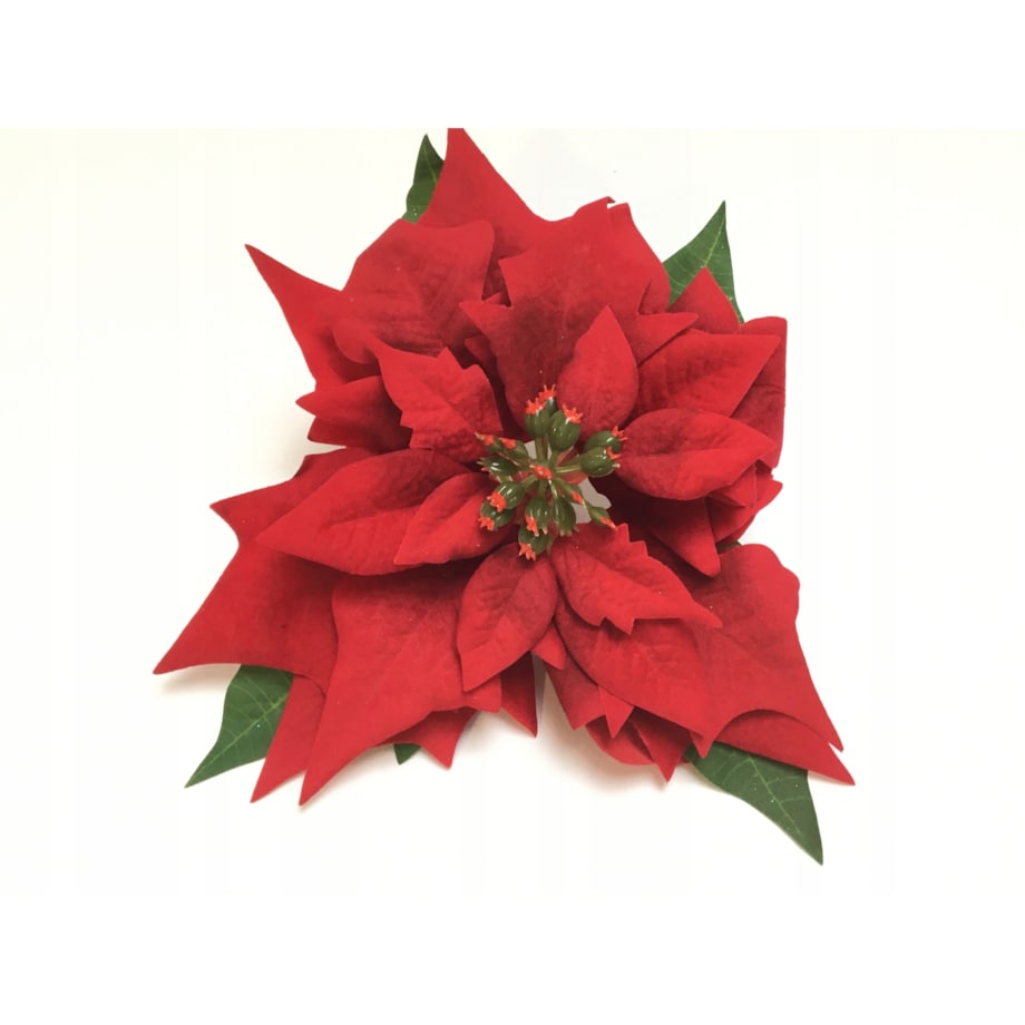 GWIAZDA WELUROWA duża poinsecja BETLEJEMSKA CZERWONA jak żywa na bukiet