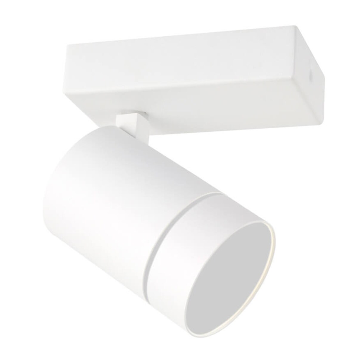 Regulowany spot sufitowy Selma LED 5W do przedpokoju biała