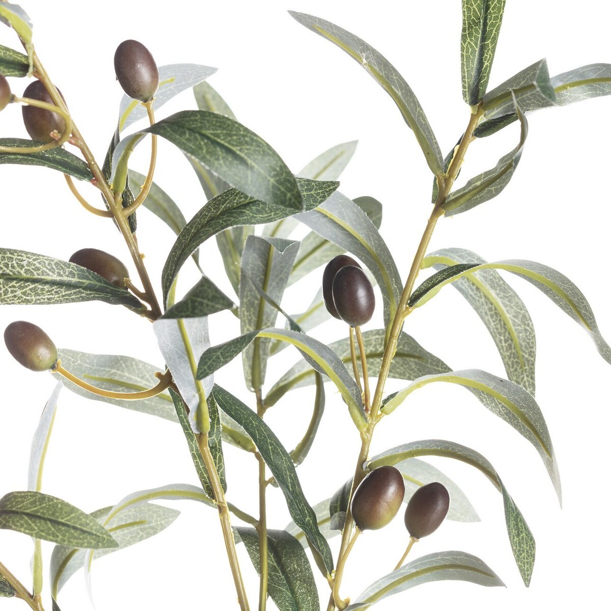 Gałązka oliwna 70cm, 10 x 10 x 70 cm